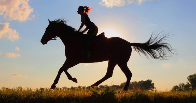 Horseback Riding - Long Island Adventures